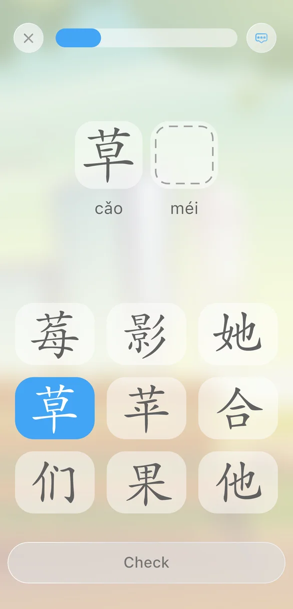 Comprehensive mastery of all skills